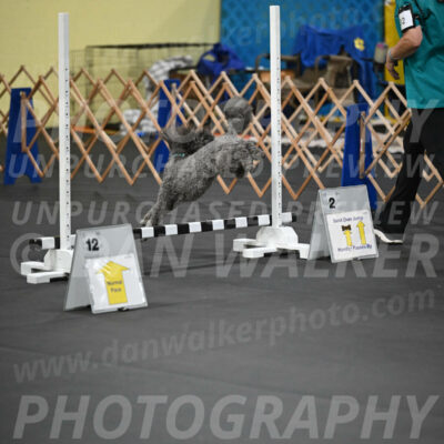 SAT702_0013