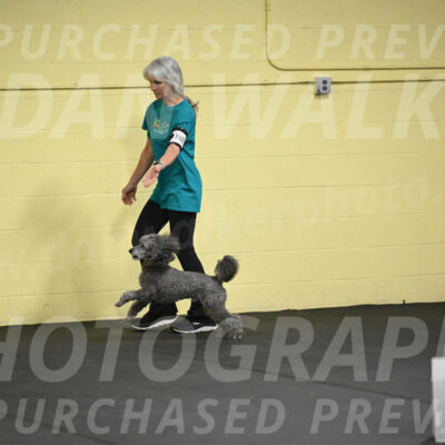 SAT702_0014