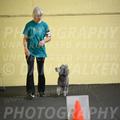 SAT702_0027