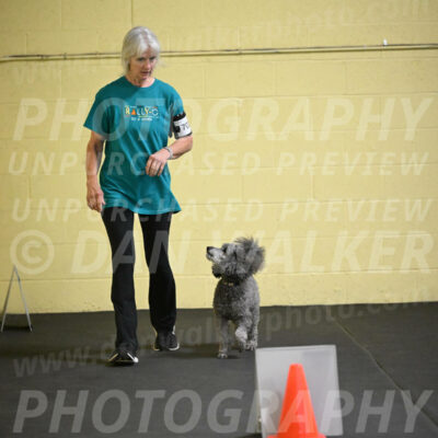 SAT702_0029