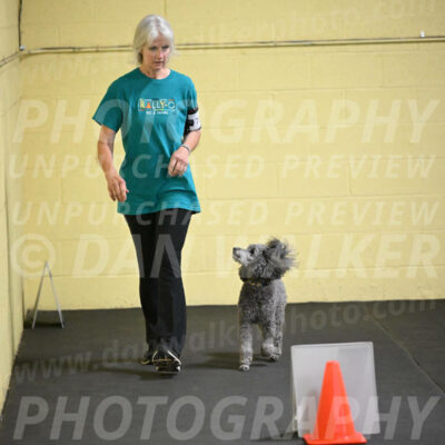 SAT702_0032