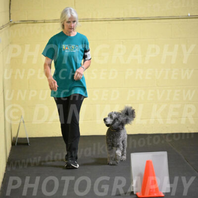 SAT702_0033