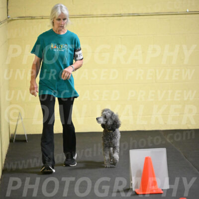 SAT702_0037