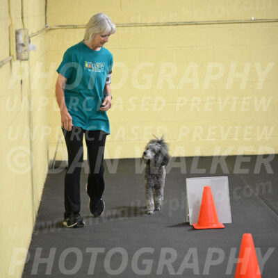 SAT702_0038