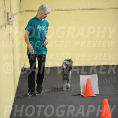 SAT702_0039