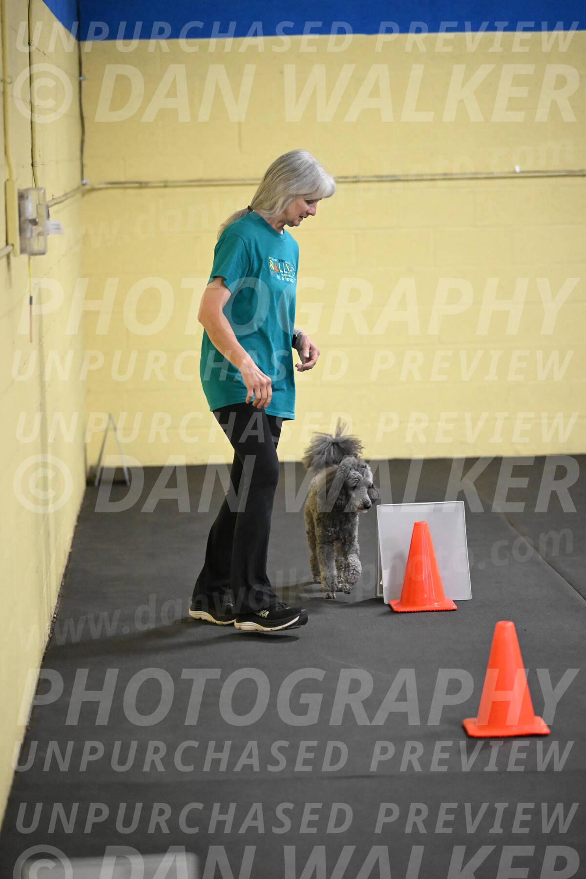 SAT702_0041
