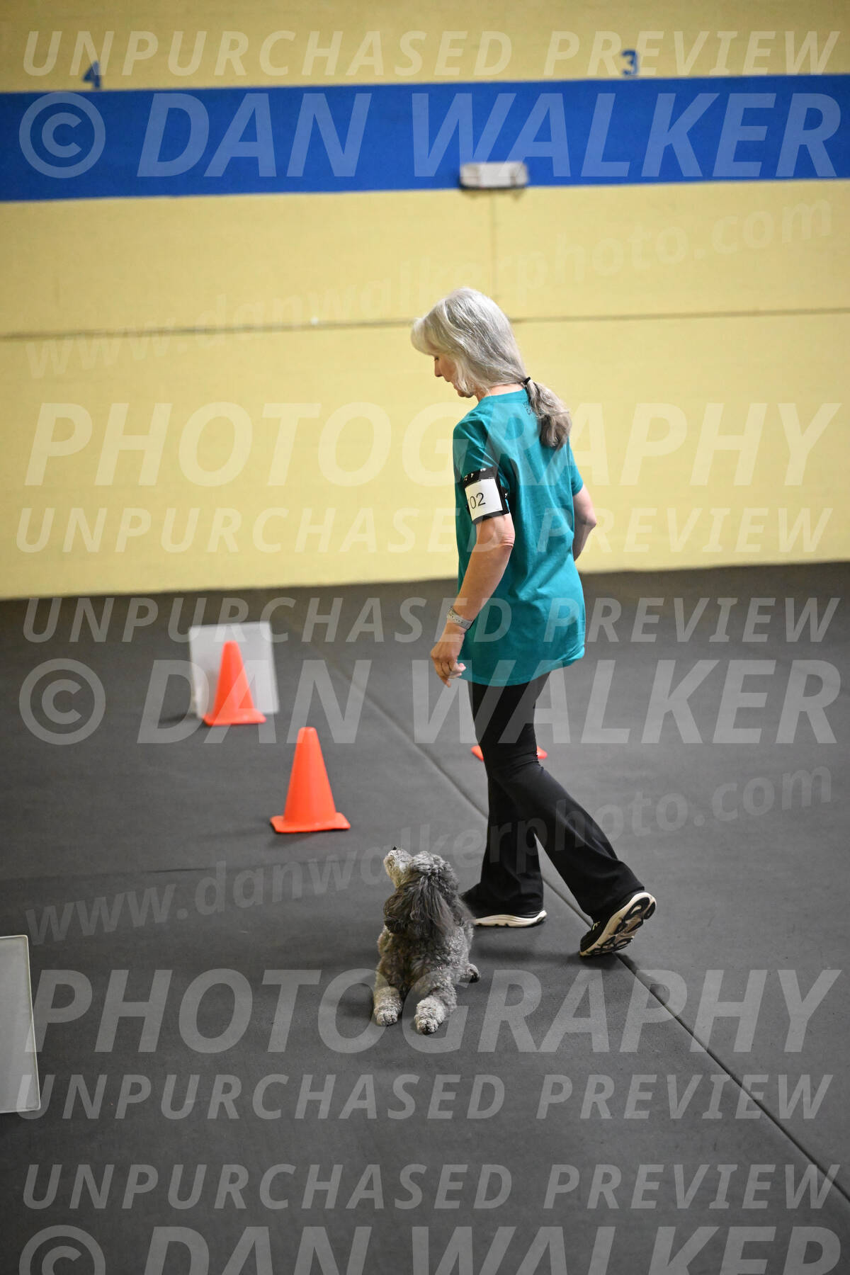 SAT702_0064