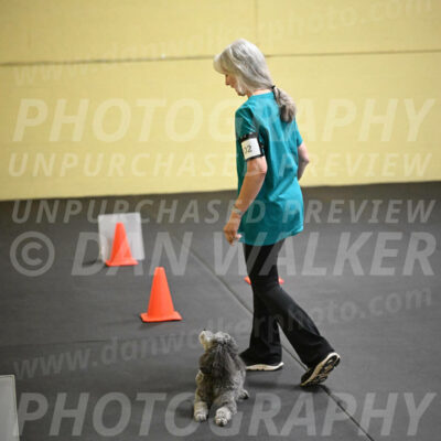 SAT702_0064
