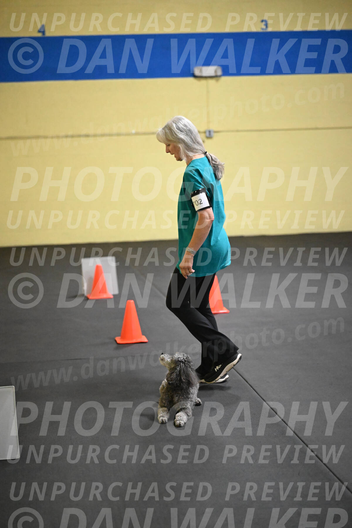 SAT702_0065