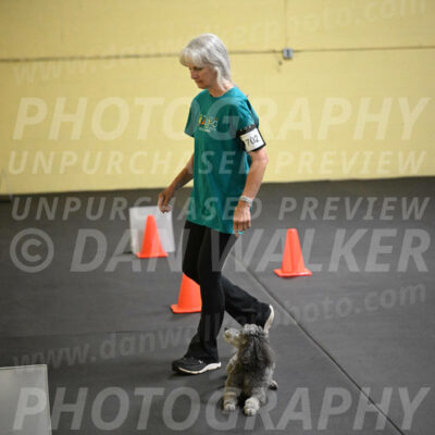 SAT702_0069