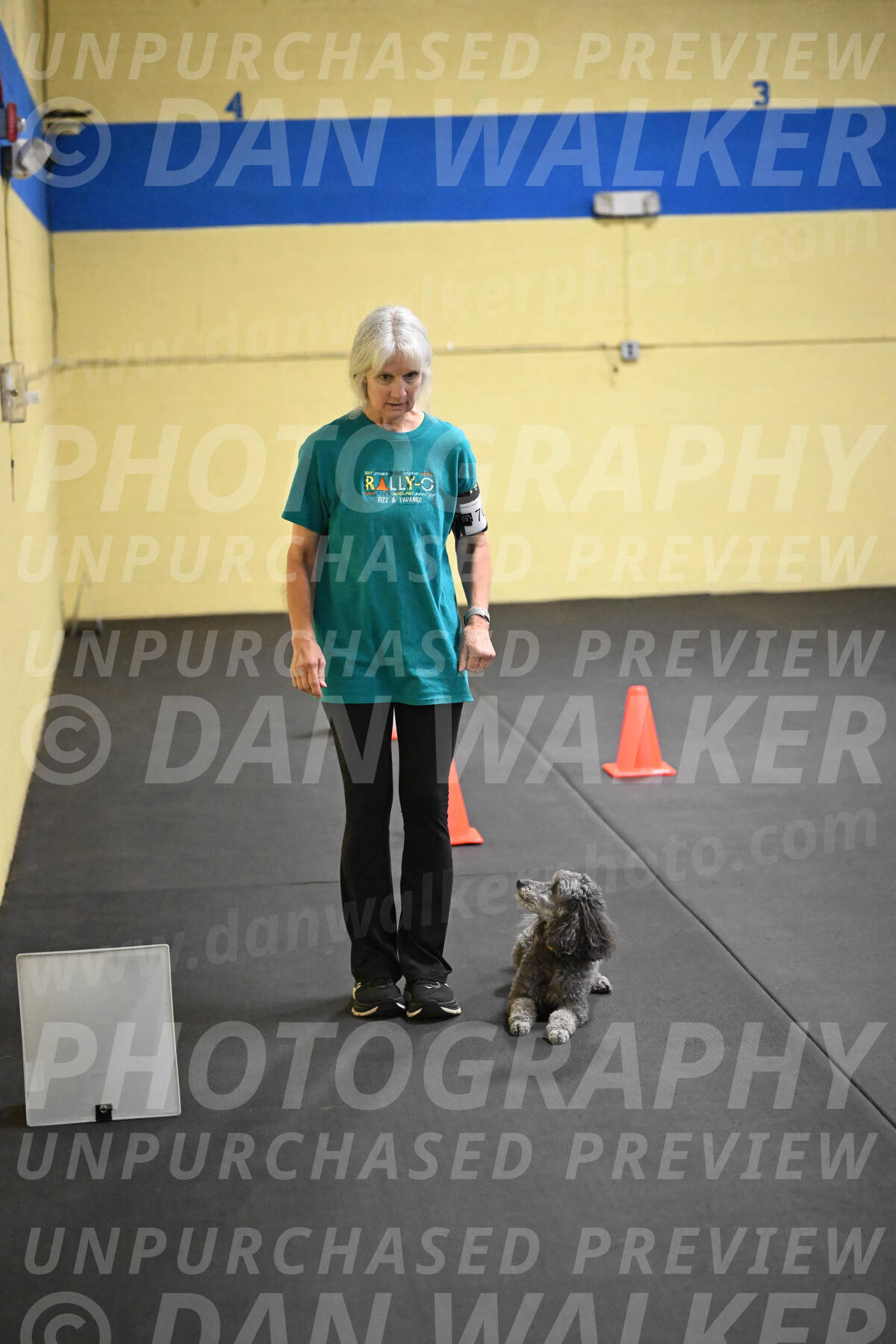 SAT702_0077