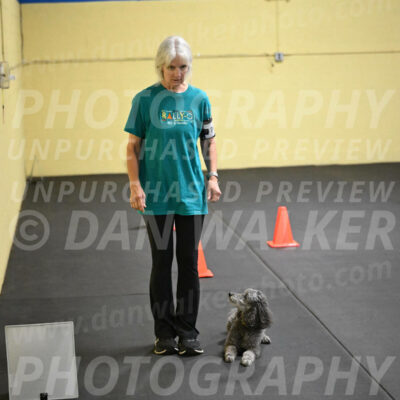 SAT702_0078