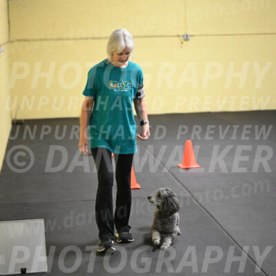 SAT702_0079