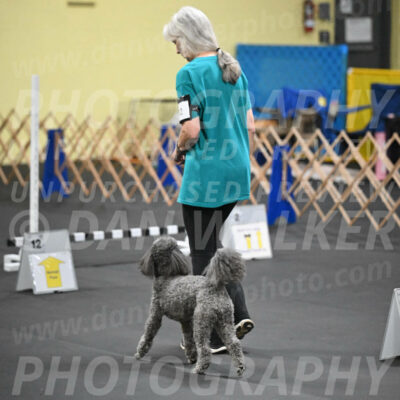 SAT702_0087