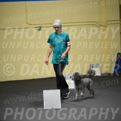SAT702_0096