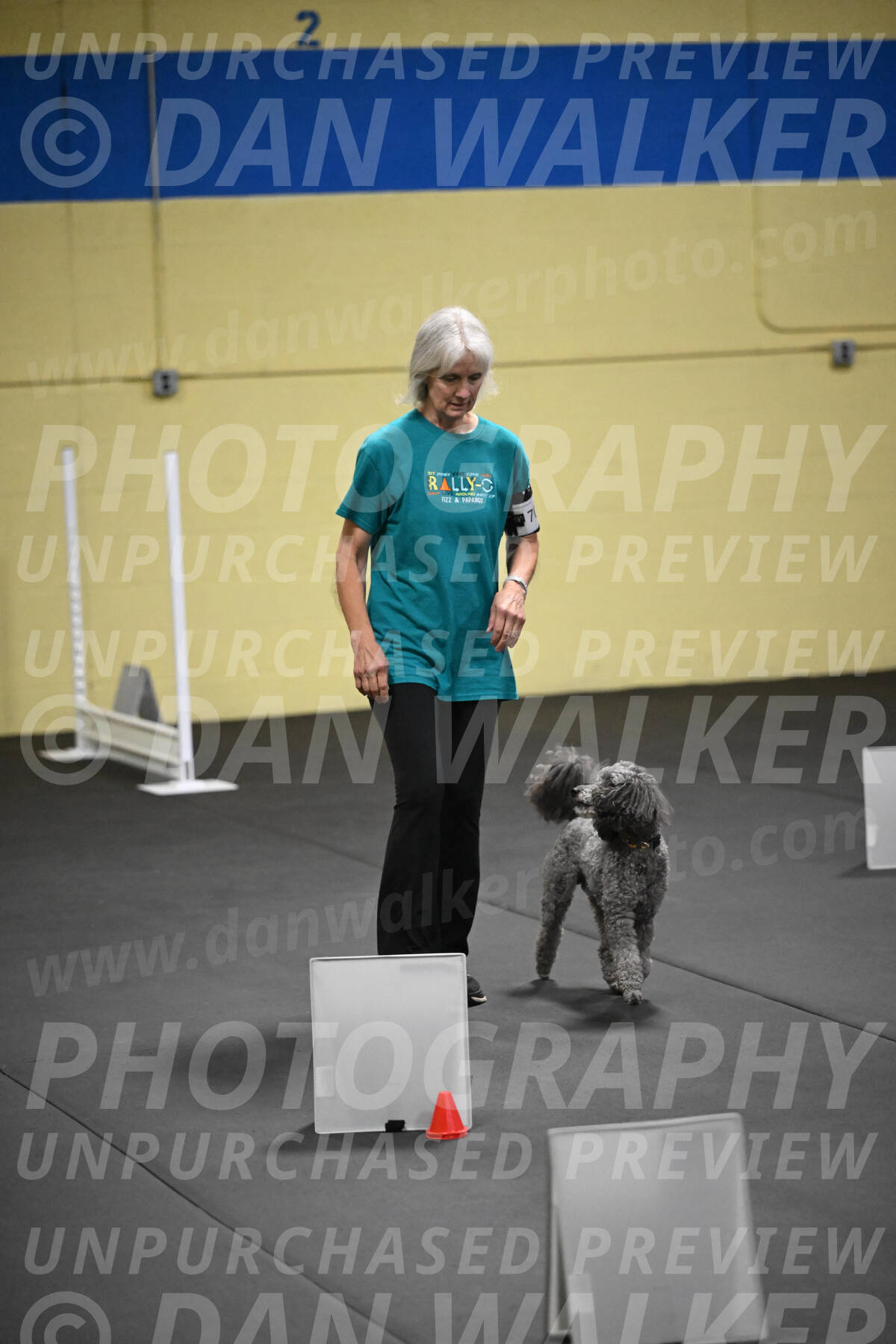 SAT702_0113