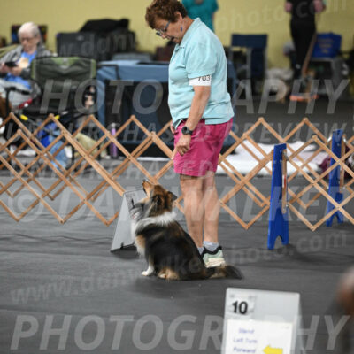 SAT703_0006