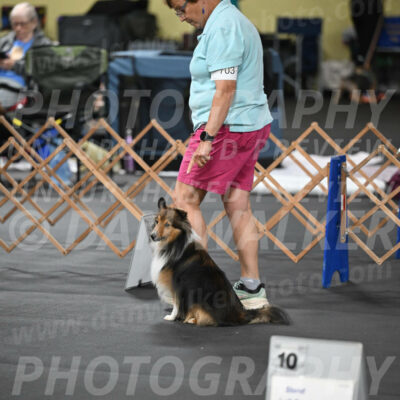 SAT703_0011