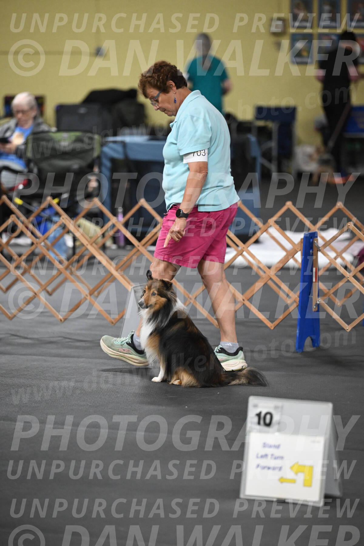 SAT703_0013