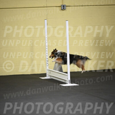 SAT703_0022