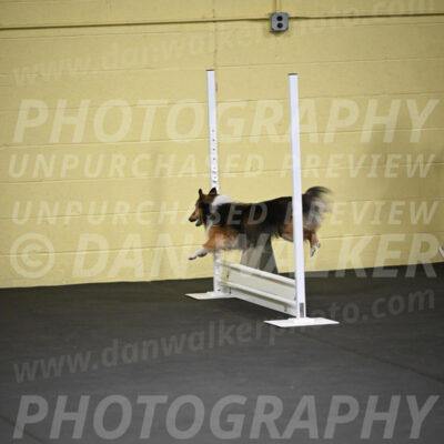 SAT703_0023