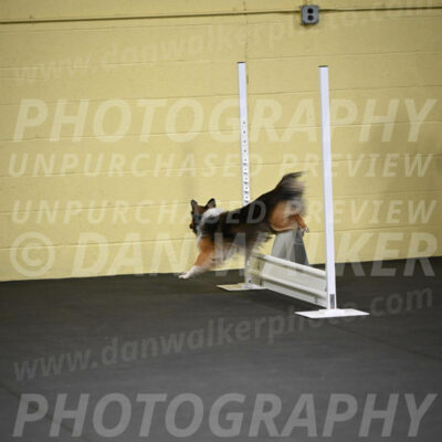 SAT703_0024