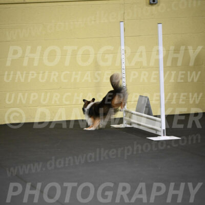 SAT703_0025
