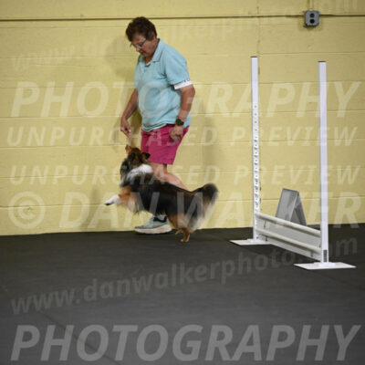 SAT703_0027