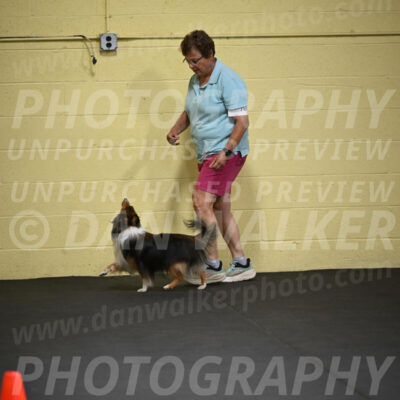 SAT703_0034