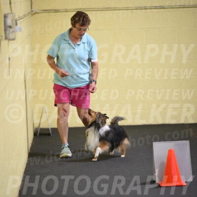 SAT703_0041