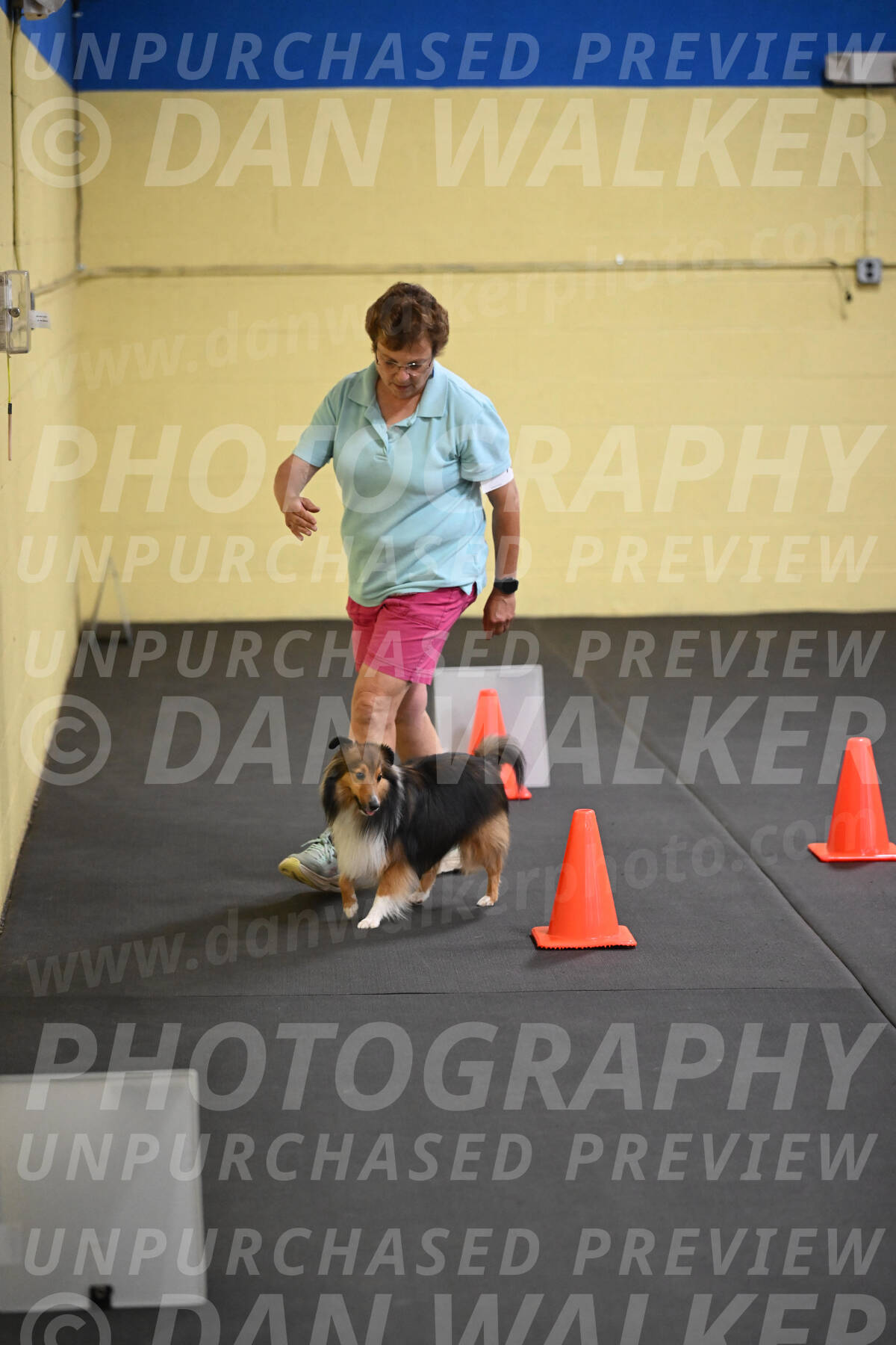 SAT703_0066