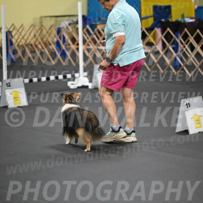 SAT703_0097