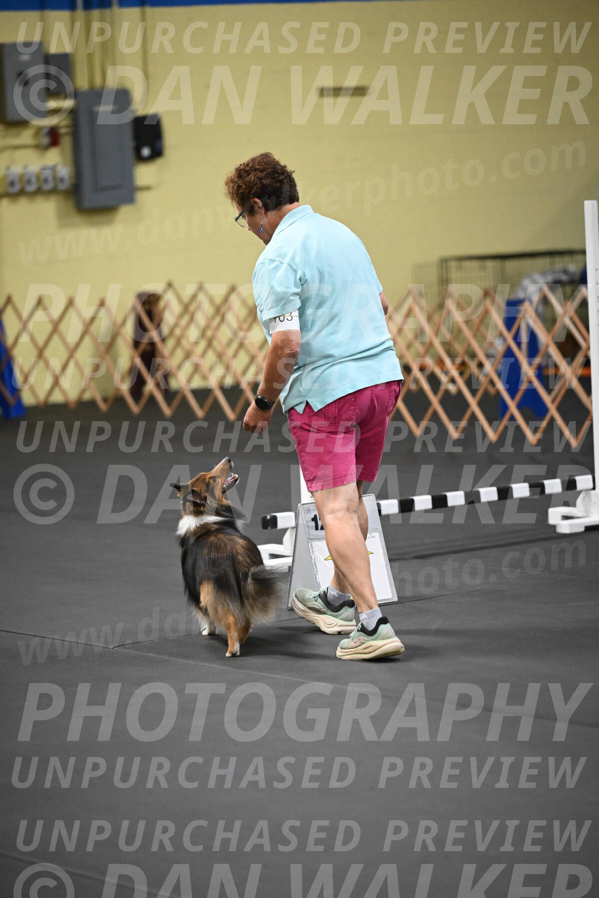SAT703_0107