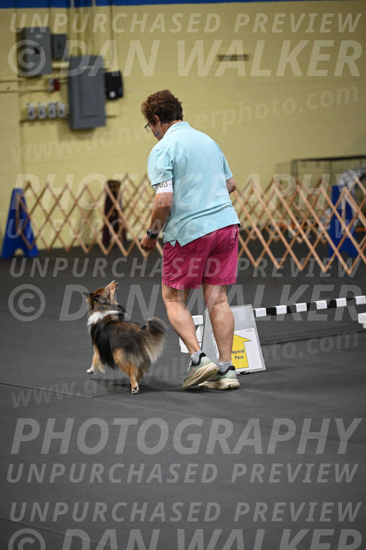 SAT703_0110