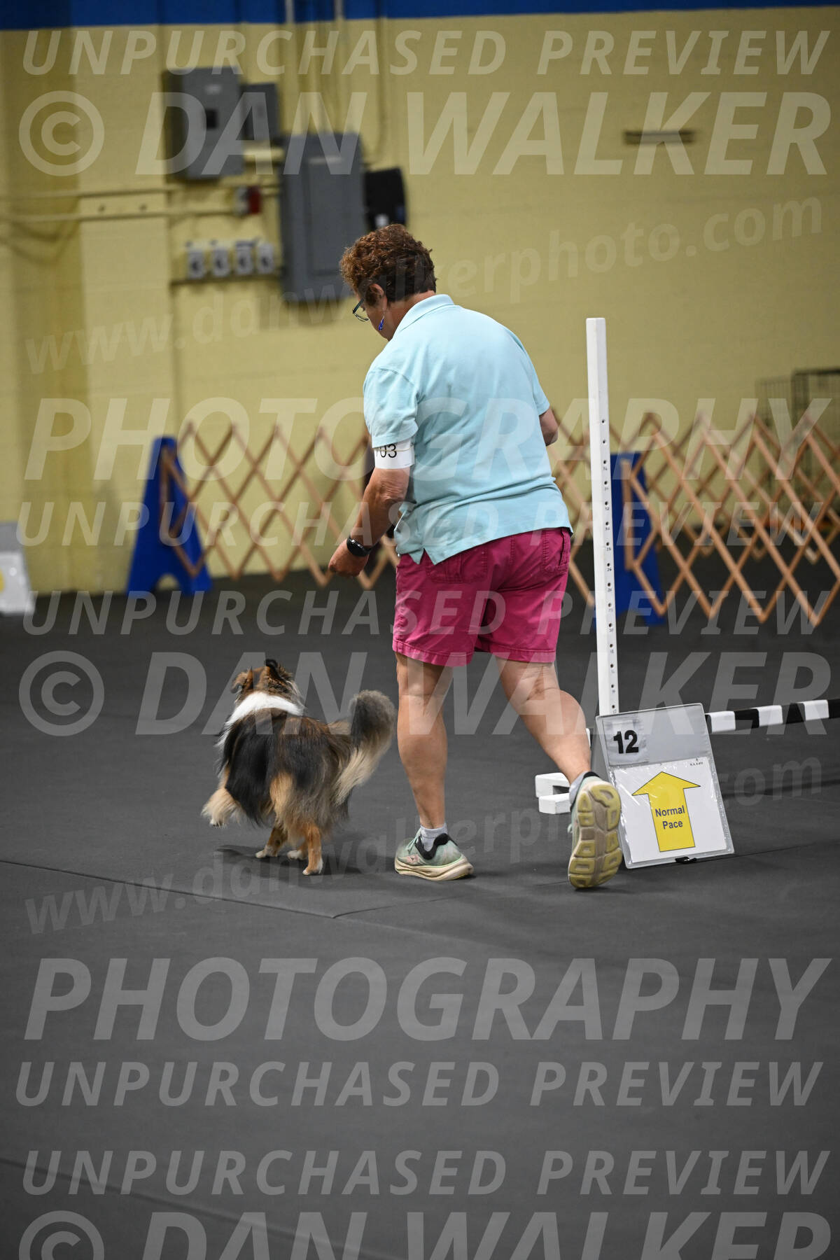 SAT703_0113