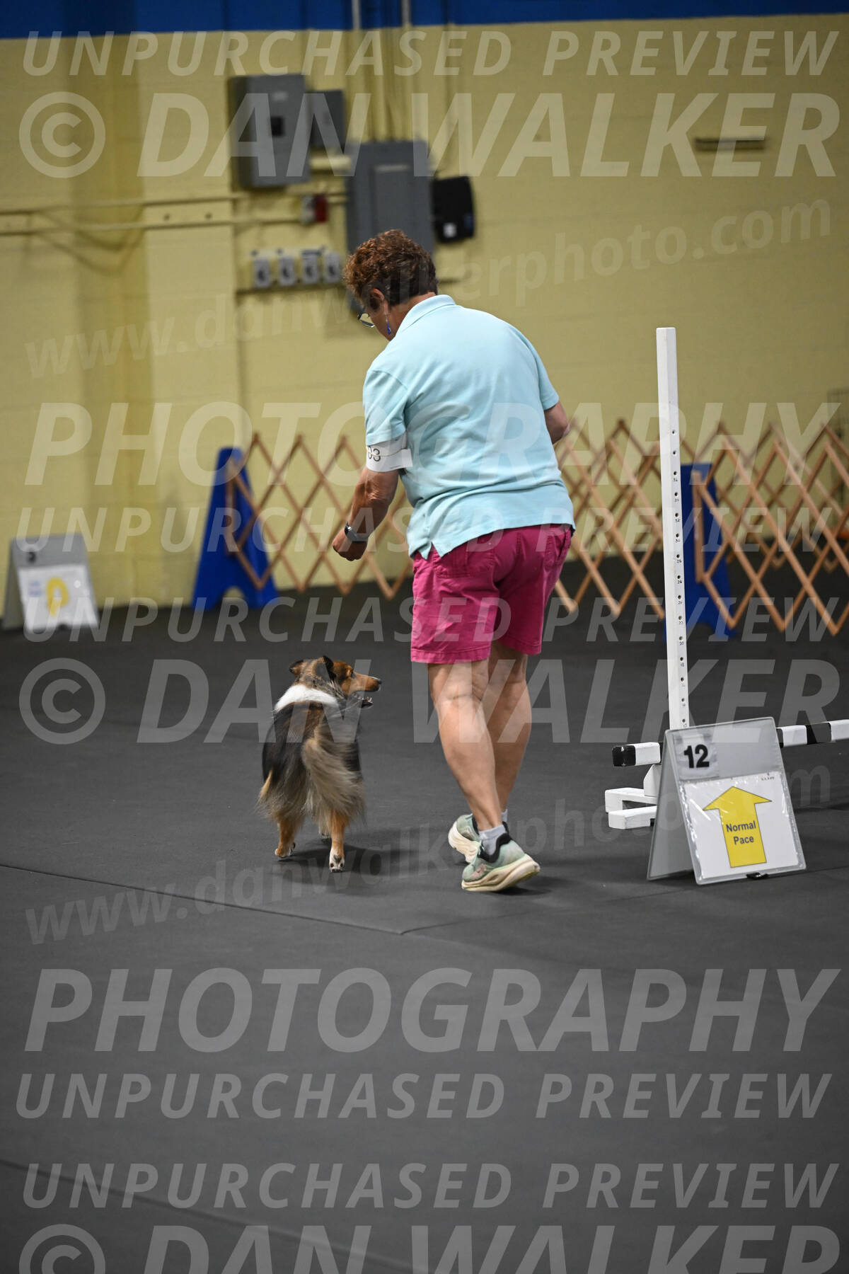 SAT703_0115