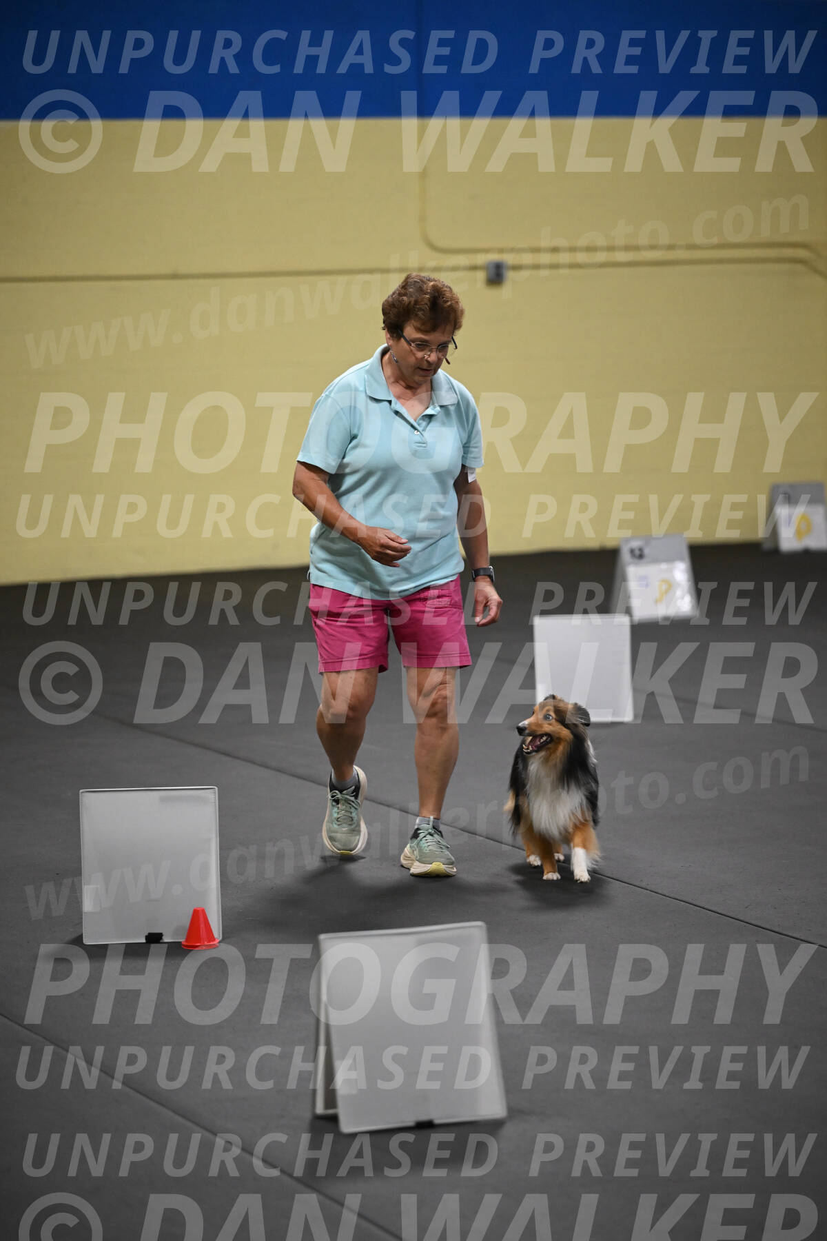 SAT703_0141
