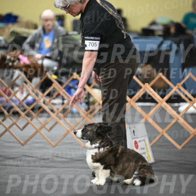 SAT705_0016