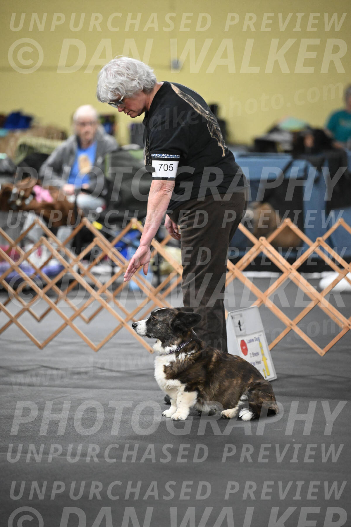 SAT705_0016