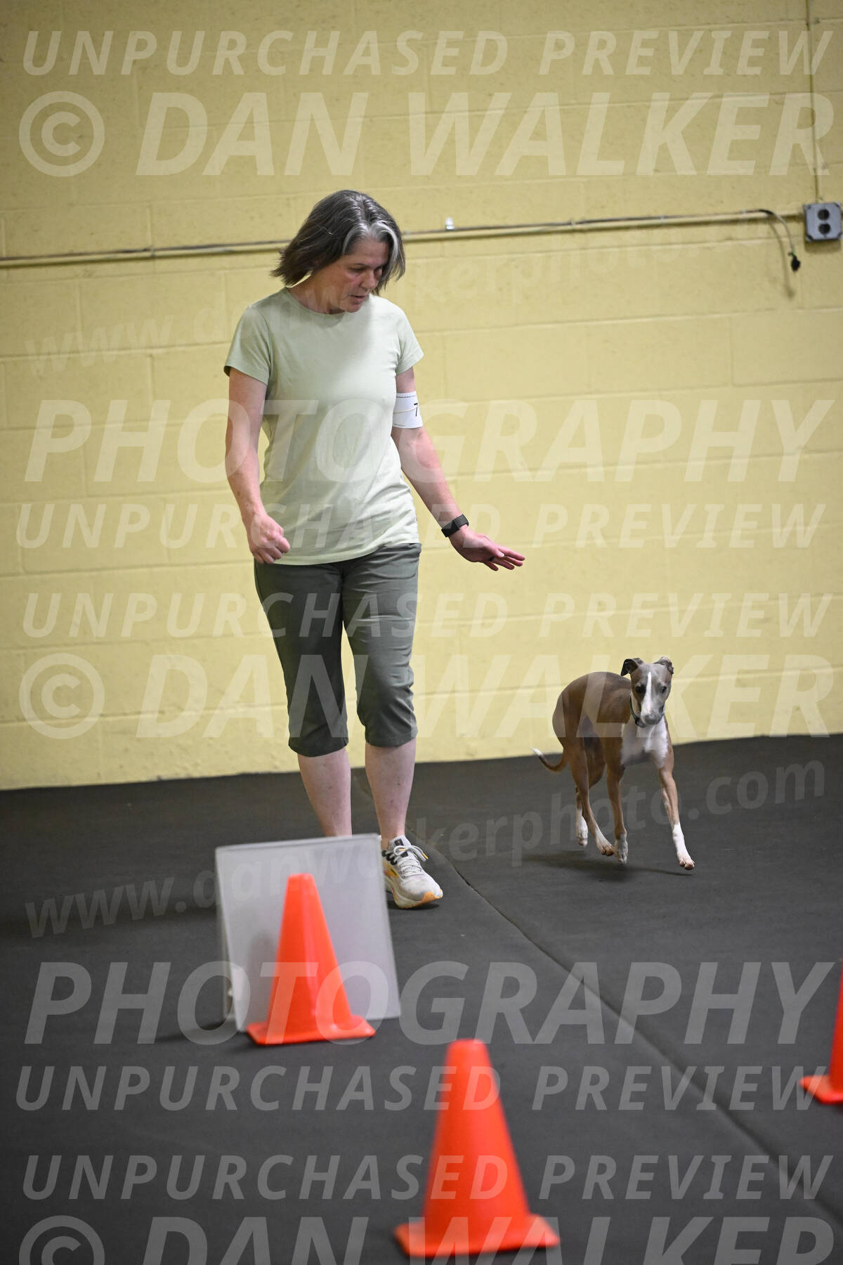 SAT706_0029