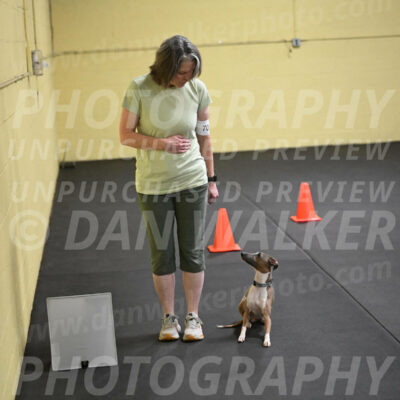 SAT706_0084
