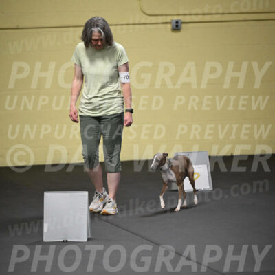SAT706_0092