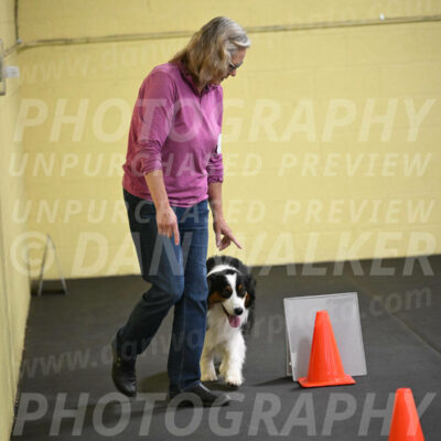 SAT708_0017