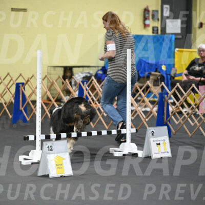 SAT710_0008