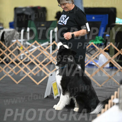 SAT711_0029