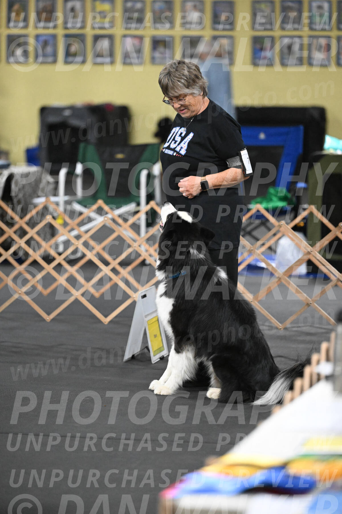 SAT711_0029