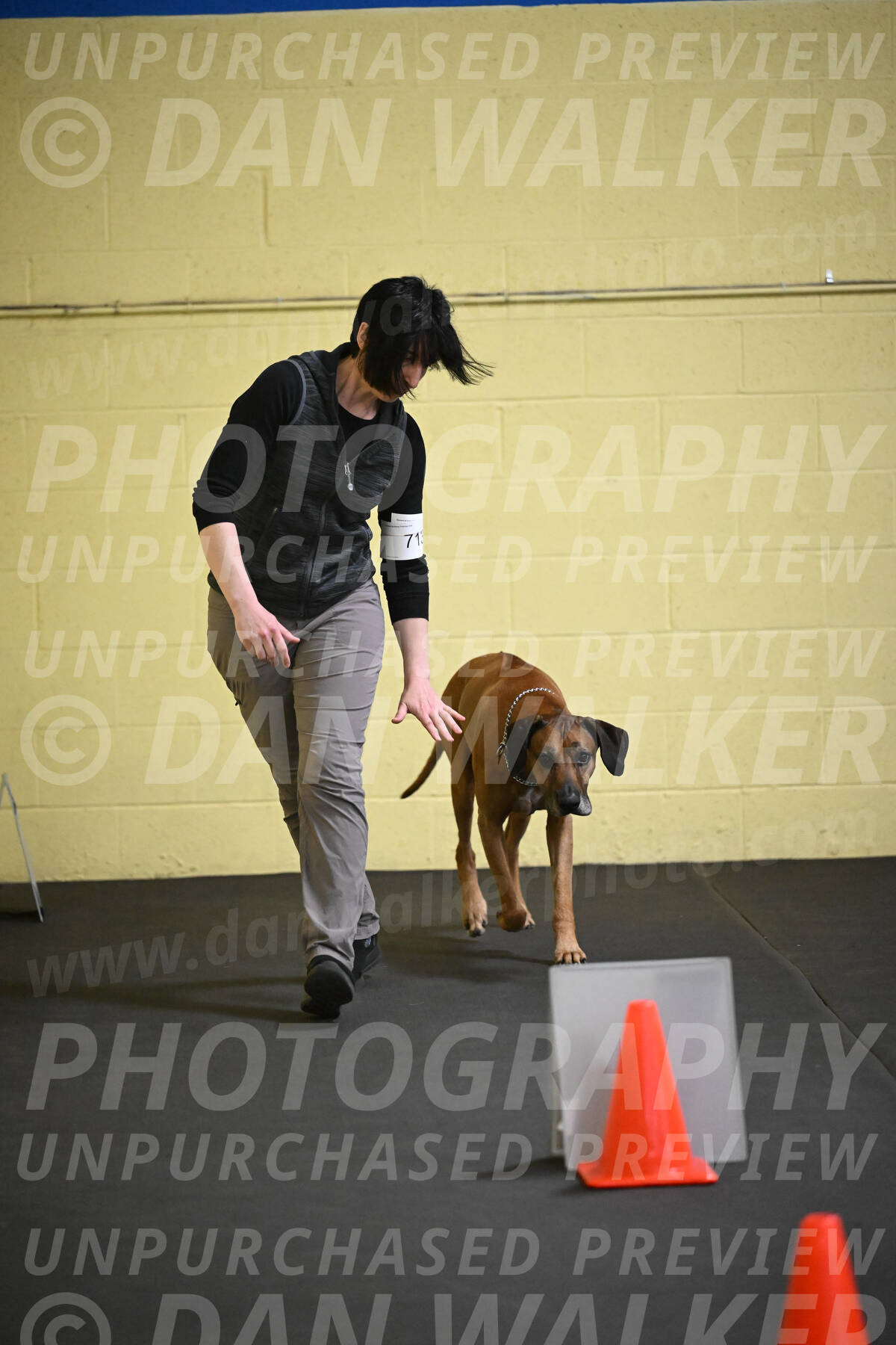 SAT713_0019