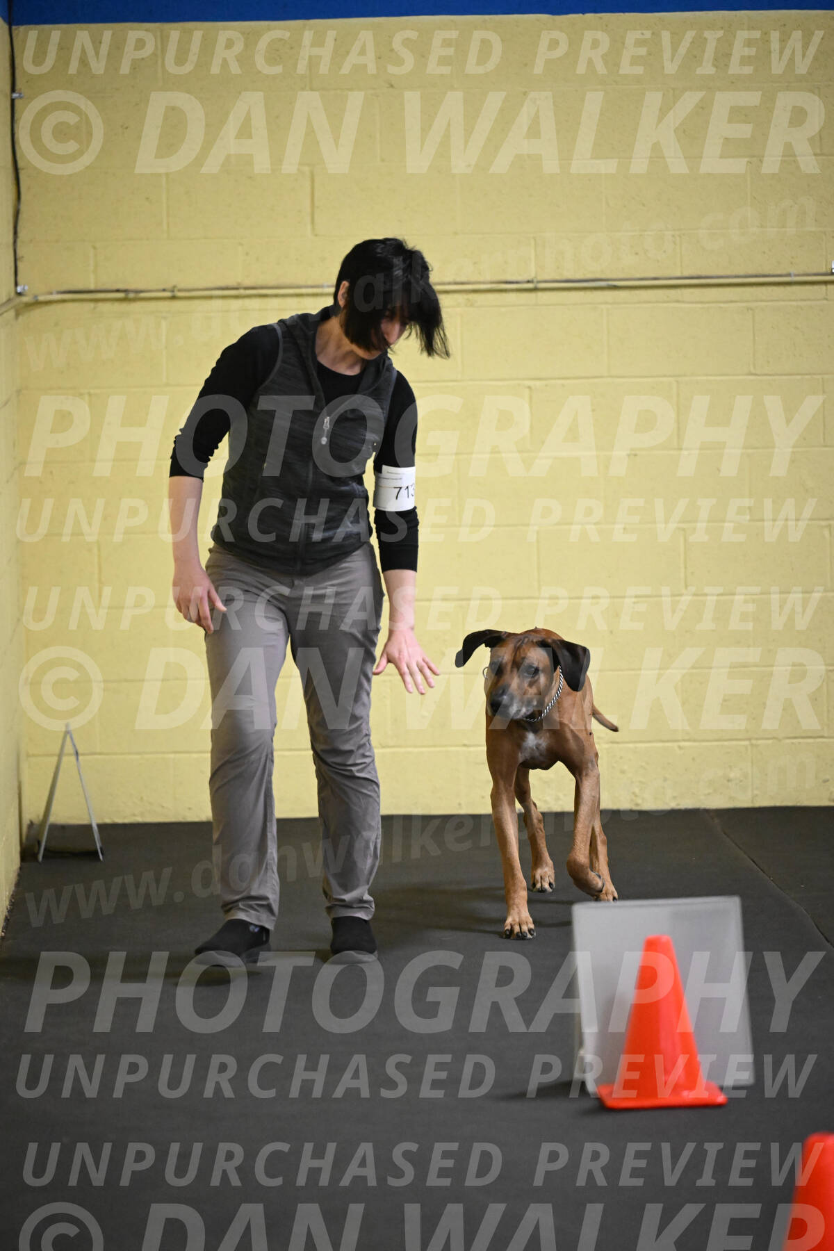 SAT713_0023