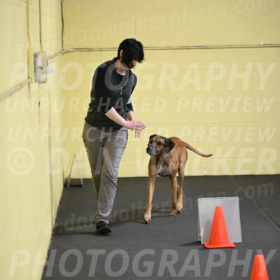 SAT713_0029