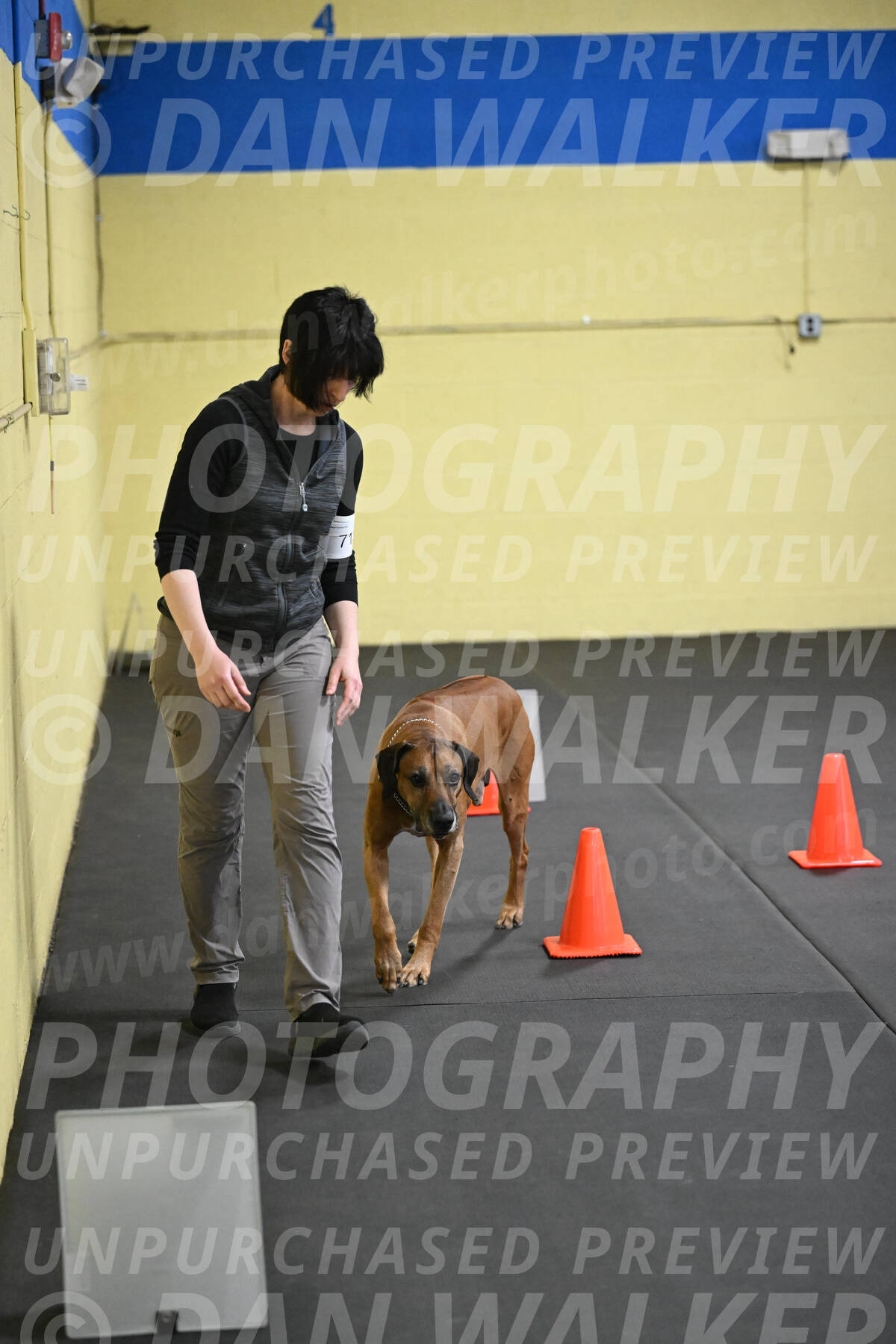 SAT713_0035